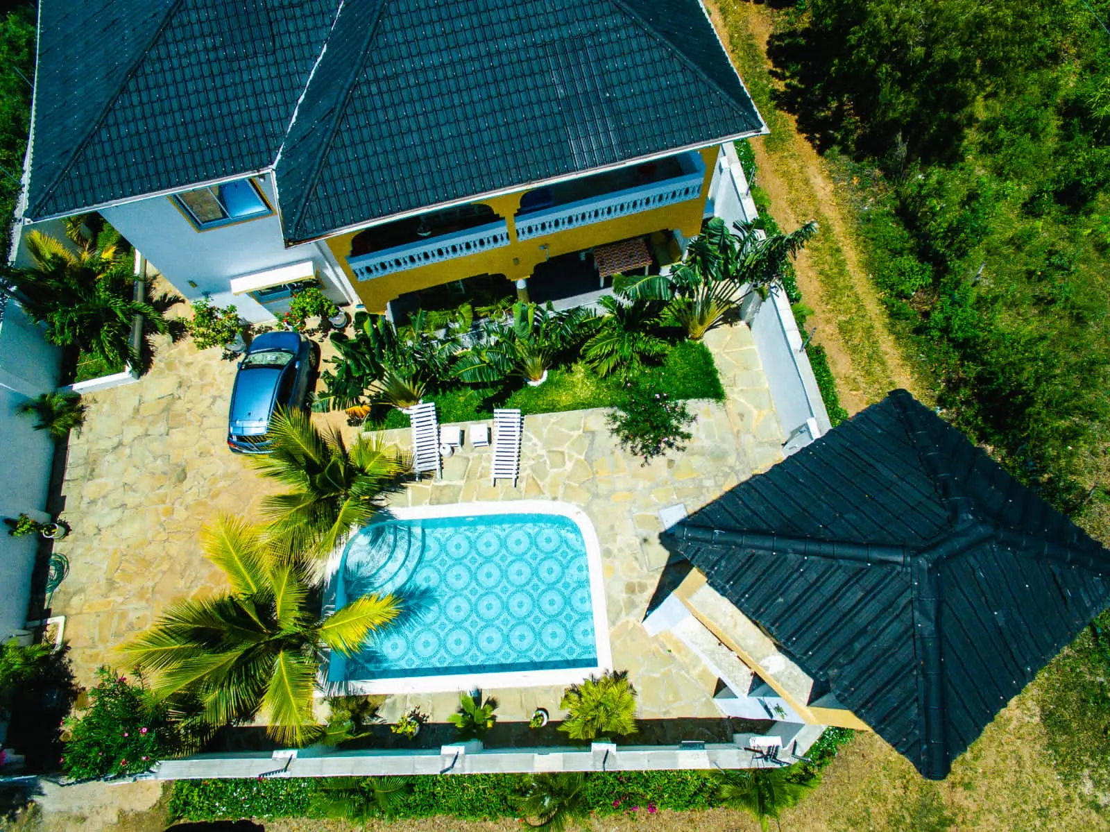 Chameleone 1 — photo 2